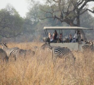 African safari packages
