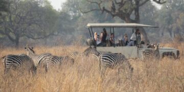African safari packages