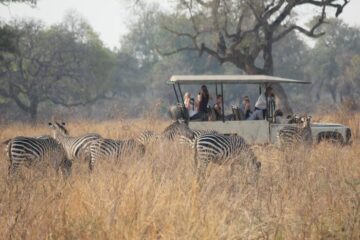 African safari packages