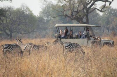 African safari packages
