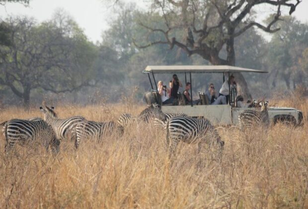 African safari packages