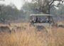 African safari packages